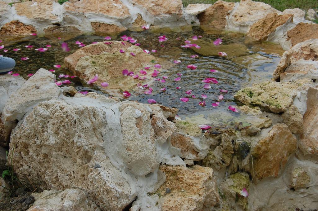 מלון Chimindia Castelul Lupilor מראה חיצוני תמונה