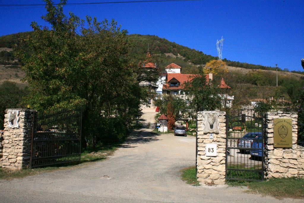 מלון Chimindia Castelul Lupilor מראה חיצוני תמונה